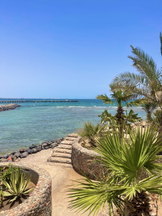 Ausblick Desert Rose