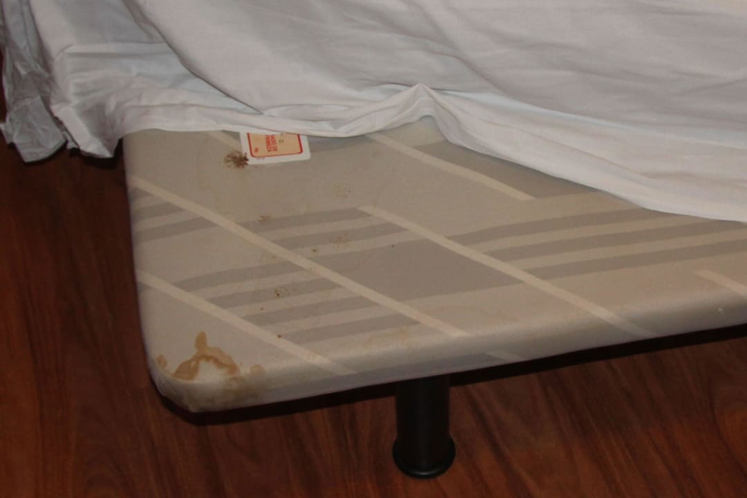 Dreckige Betten, die knarren und quietschen. Ole Tropical Tenerife