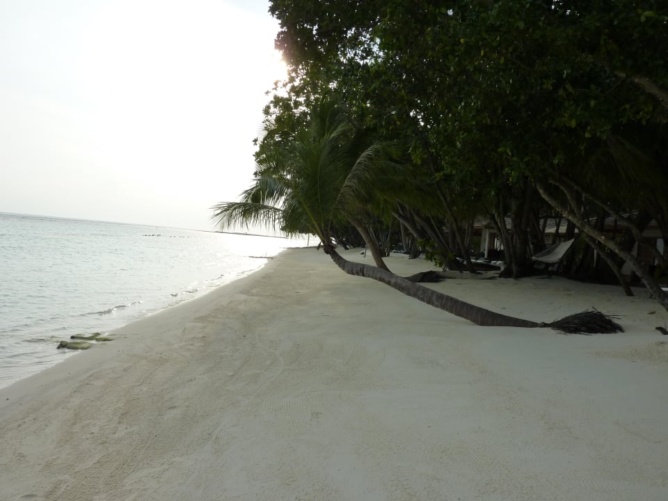 Strand vor dem Bungi 169 - Nordseite Vilamendhoo Island Resort & Spa