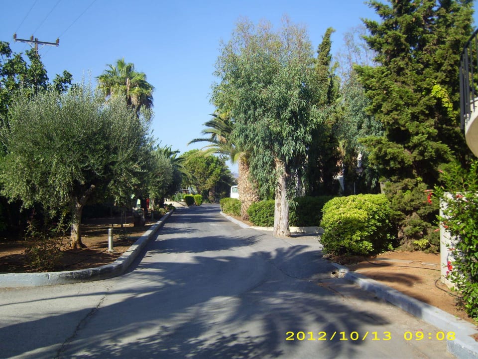 Blick vom Haupteingang Richtung Straße Phãea Cretan Malia