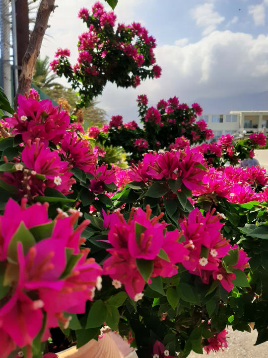 Außenansicht HARPIN Georgioupolis Resort Aquapark & SPA