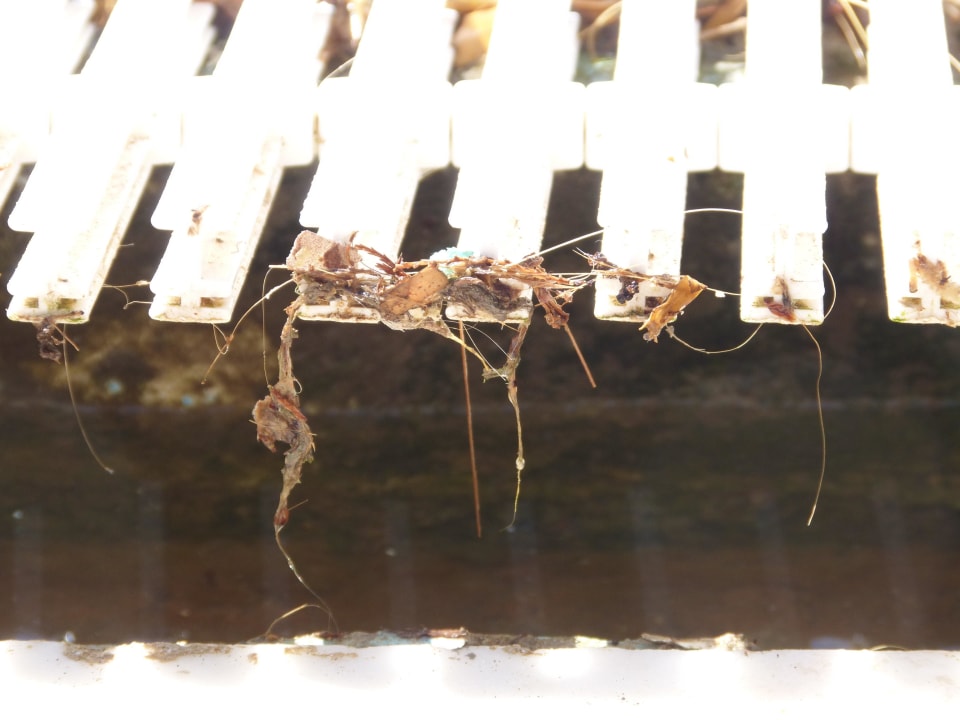 Versifftes Poolgitter Eri Beach & Village