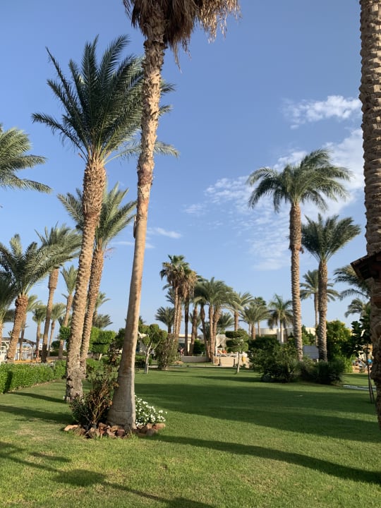 Gartenanlage LABRANDA Royal Makadi