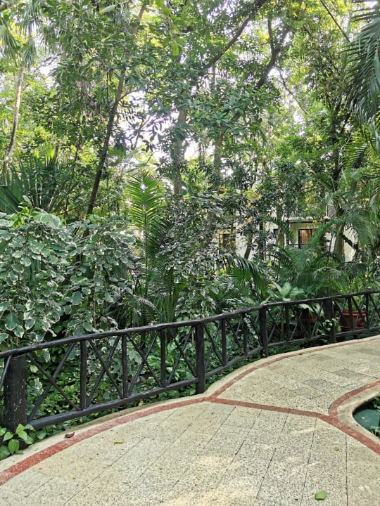 Gartenanlage The Reef Playacar