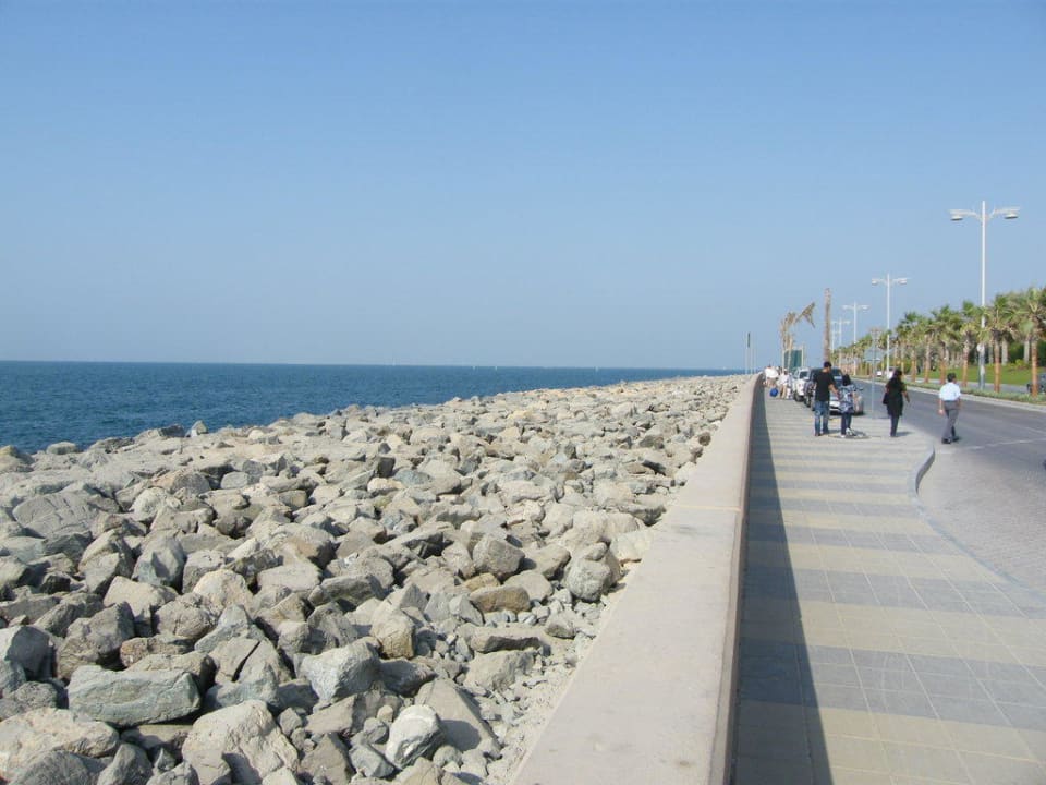 Ohne Worte Atlantis, The Palm