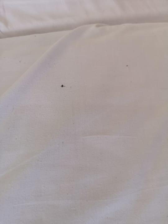 Zimmer Three Corners Equinox Beach Resort