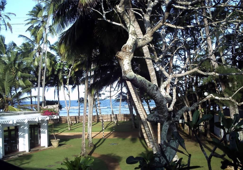 Blick vom Balkon Thaala Bentota