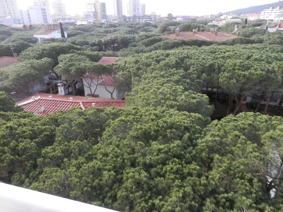 Ausblick vom Balkon Goetten Apartamentos