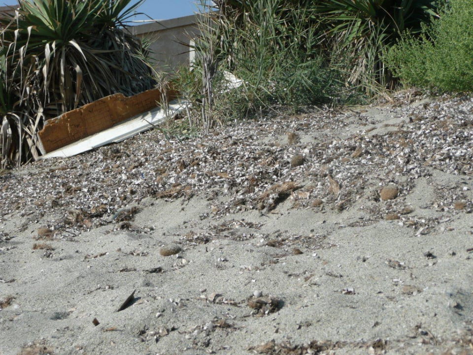 Strandmüll Hotel Monte Cristo