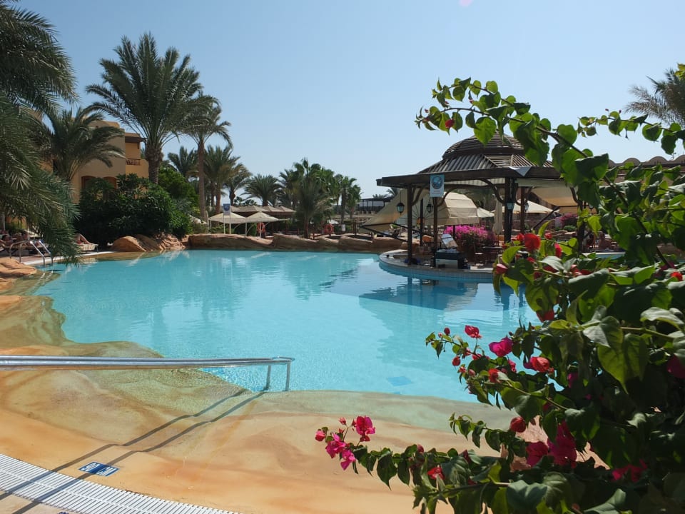 Pool Steigenberger Coraya Beach - Adults only