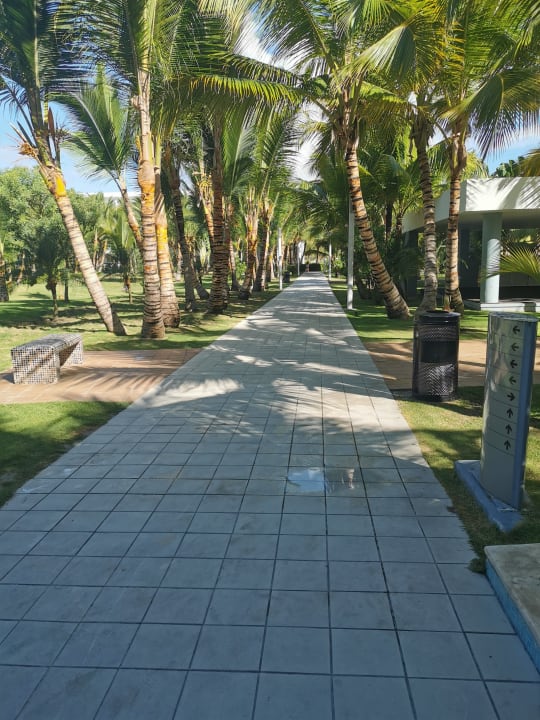 Gartenanlage Hotel Riu Republica - Adults only