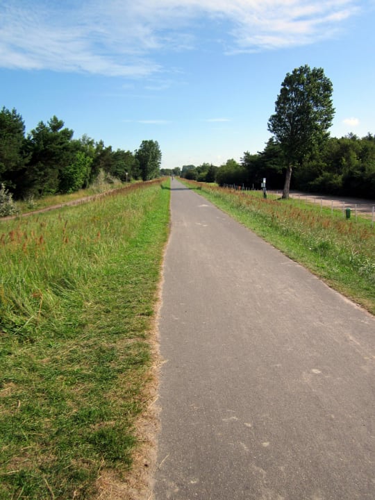 Straße zum Hotel Ostseehotel Dierhagen