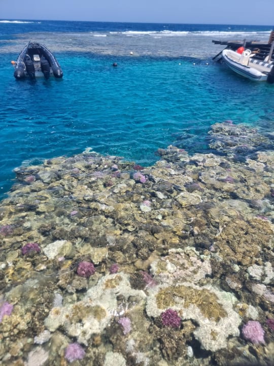 Strand Jaz Solaya