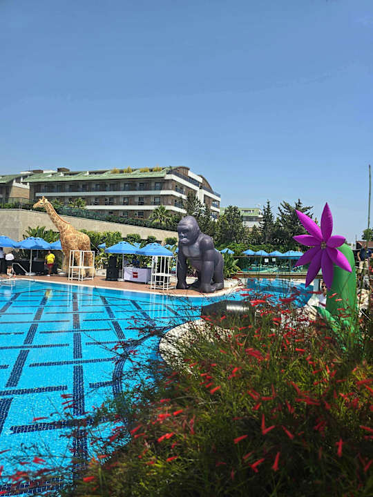 Pool Sentido Trendy Verbena Beach