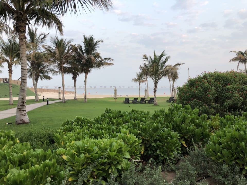 Gartenanlage JA Palm Tree Court