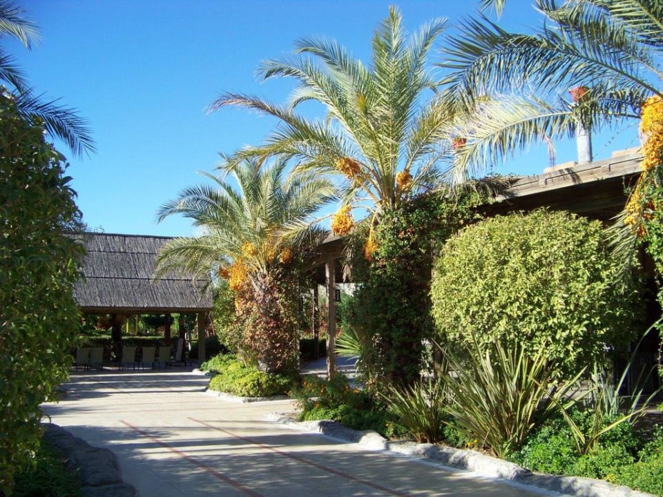 Traumhaft Royal Wings Hotel