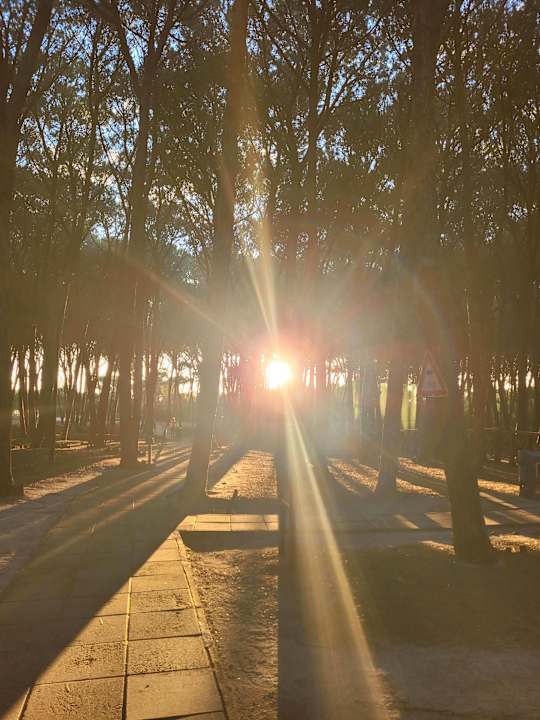 Sonstiges TUI MAGIC LIFE Calabria