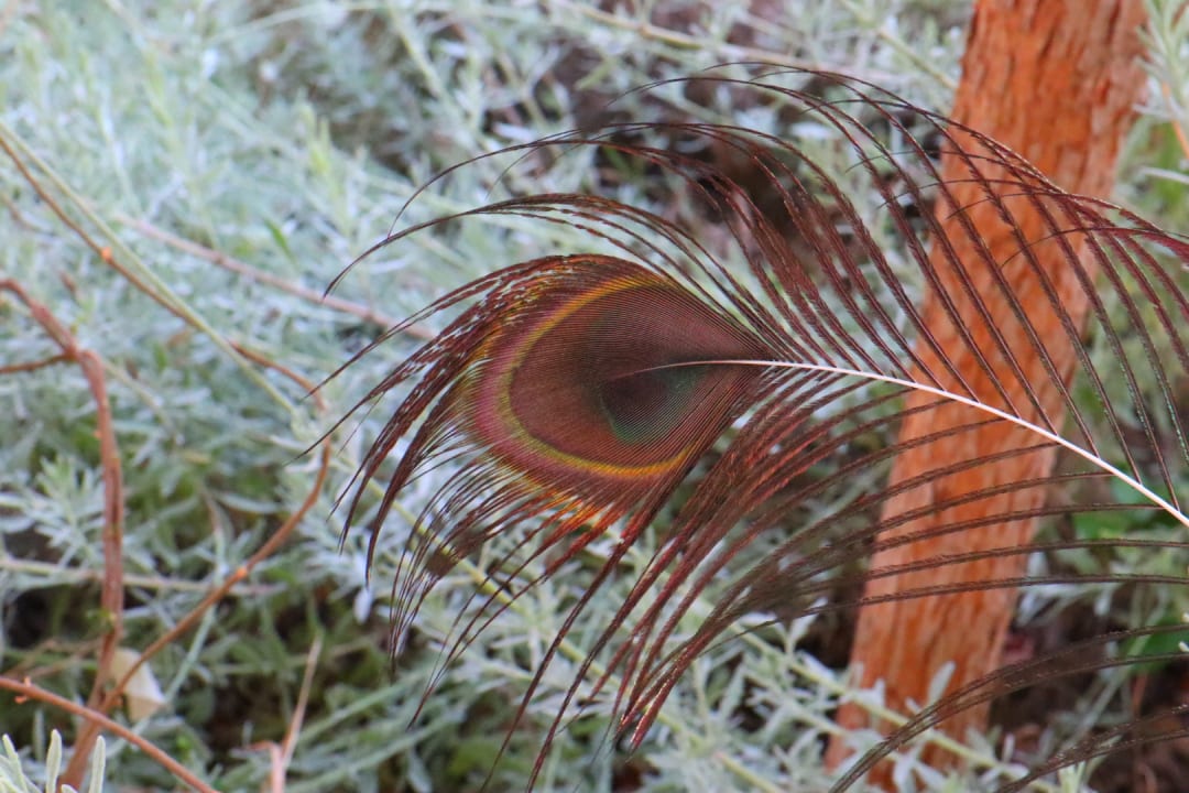 Sonstiges Hotel Kalithea Horizon Royal