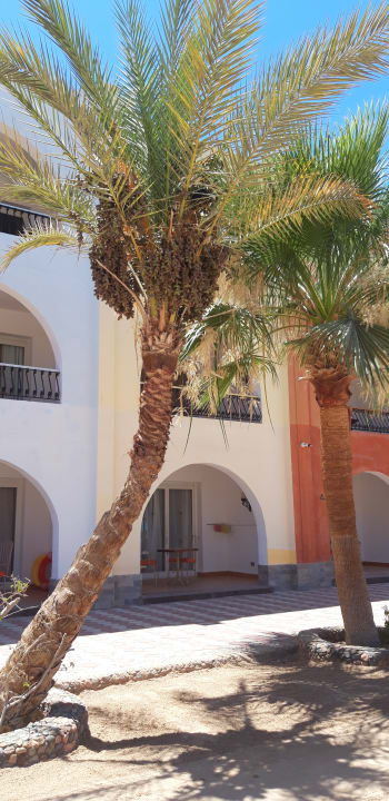 Außenansicht Arabia Azur Resort