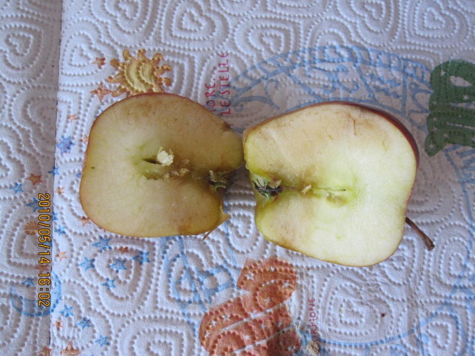 Frühstücksapfel Hotel Alekta