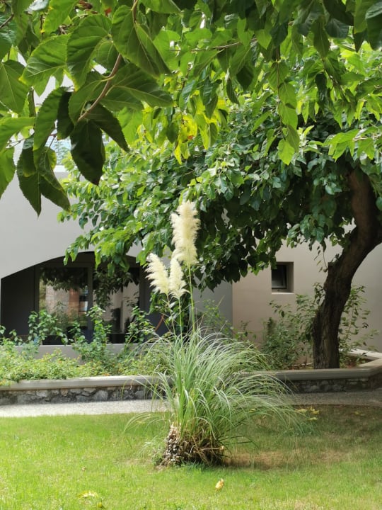 Gartenanlage Eliros Mare