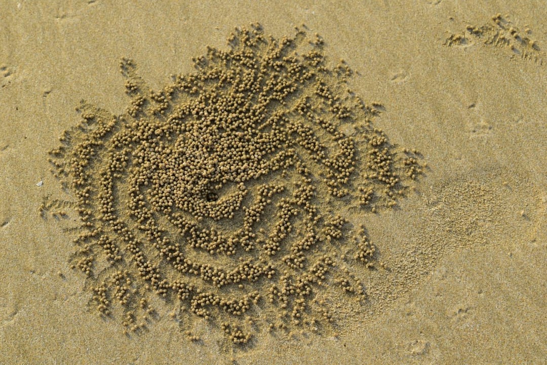 Strand The Residence