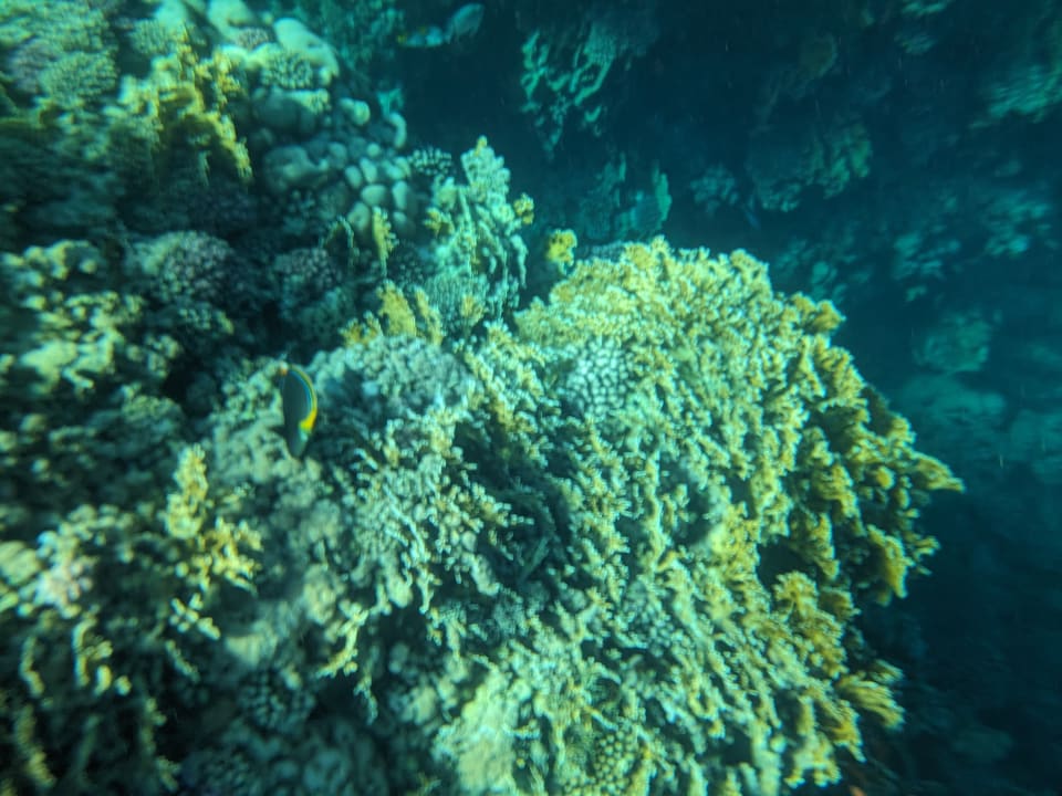 Sport & Freizeit Casa Mare Resort