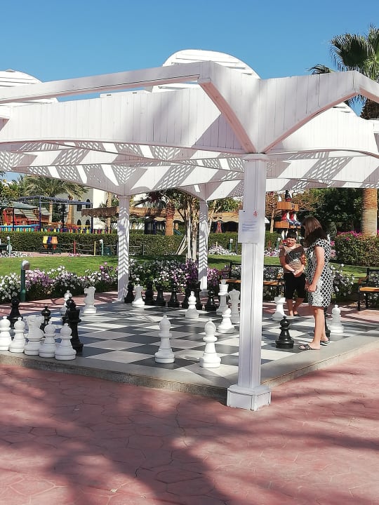 Sport & Freizeit Desert Rose