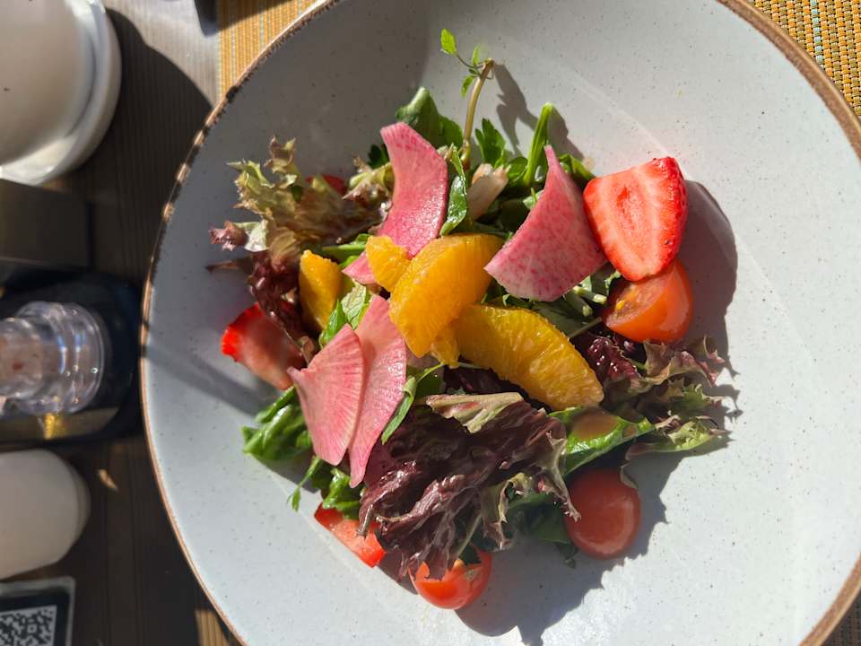 Gastro Lara Barut Collection