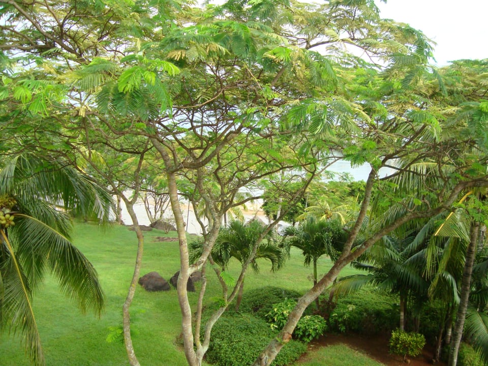 Blick vom Balkon Maritim Resort & Spa Mauritius