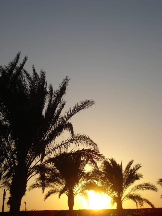 Sonnenaufgang 2 Steigenberger Coraya Beach - Adults only