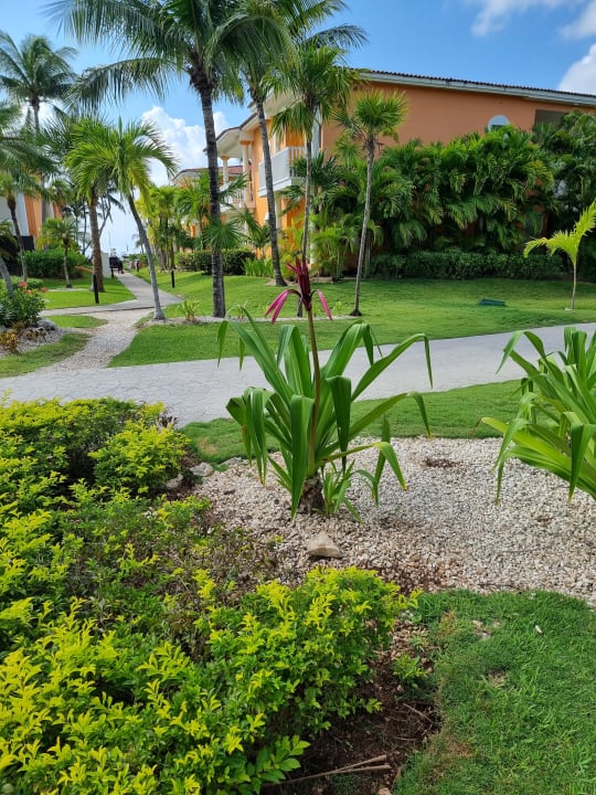 Gartenanlage H10 Ocean Maya Royale - Adults only