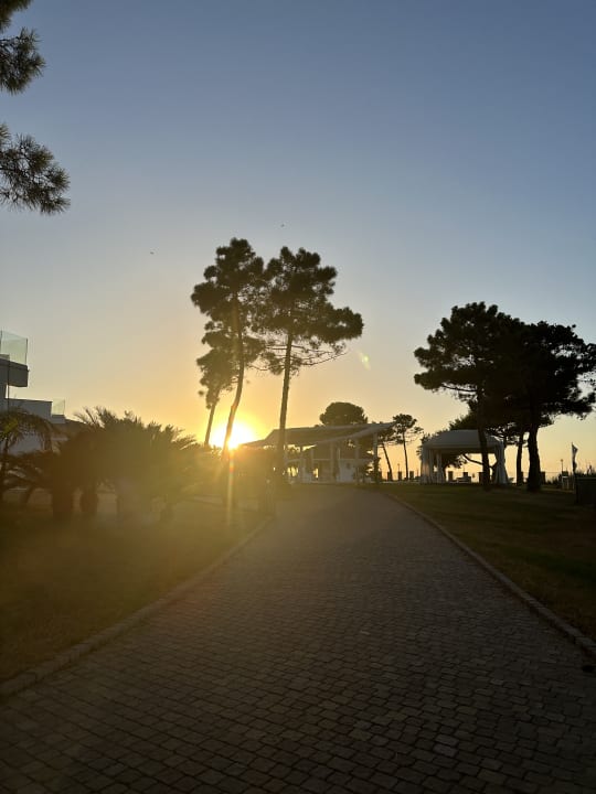 Gartenanlage TUI BLUE Tropea