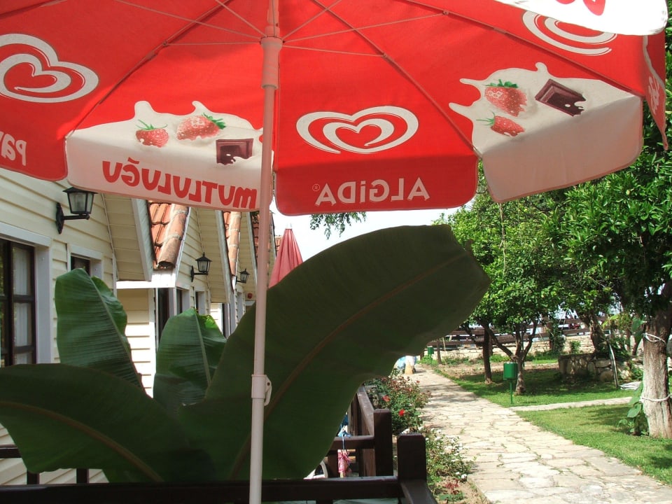 Jedes Häuschen hat eine kleine Terrasse Clover Magic Nova Beach