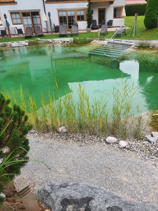 Gartenanlage Vitalhotel Sonnenhof