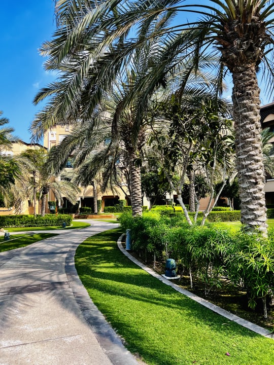 Gartenanlage Saadiyat Rotana Resort &  Villas