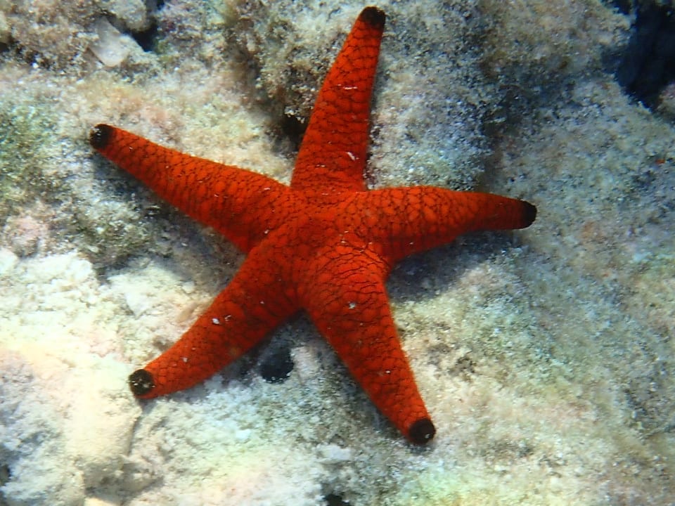 Sport & Freizeit Embudu Village