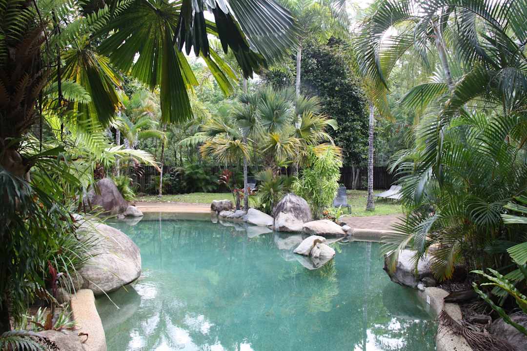 Größerer Pool Ferntree Rainforest Lodge