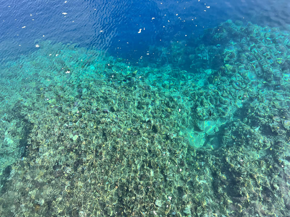 Strand Pickalbatros Sea World Resort - Marsa Alam