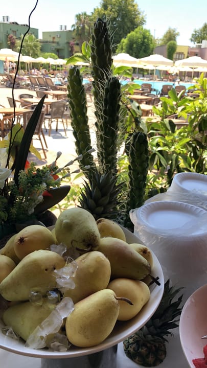 Gastro VONRESORT Golden Beach