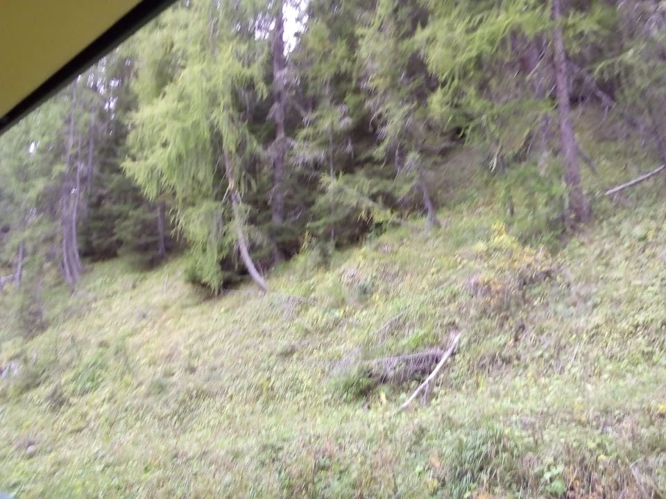 Zimmer Grand Hotel Misurina