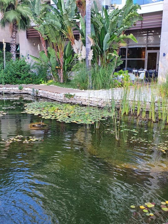 Gartenanlage Paloma Pasha