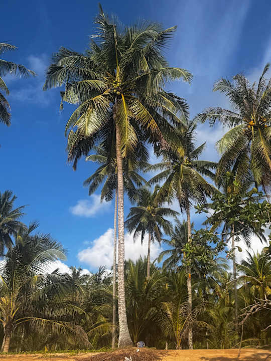 Strand La Flora Khao Lak