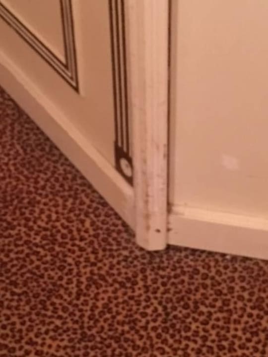 Zimmer Imperial Palace Hotel
