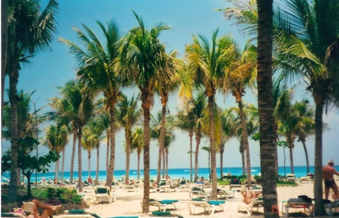 RIU-Playacar Mexico Hotel Riu Playacar