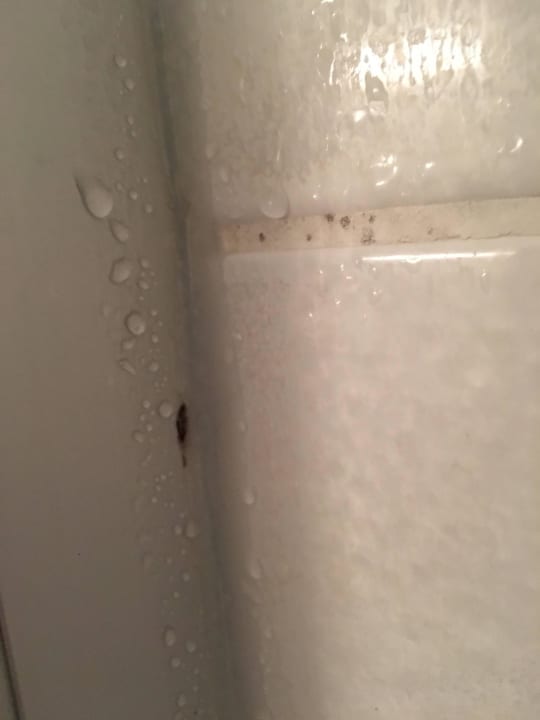 Schimmel in Dusche Hotel Alexander