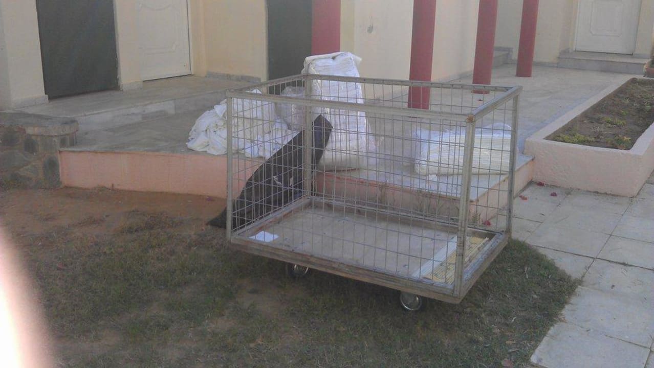 Umgang mit sauberen Handtüchern HARPIN Georgioupolis Resort Aquapark & SPA