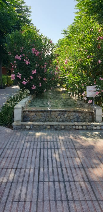Gartenanlage Can Garden Beach