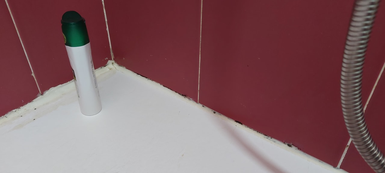 Zimmer HL Sahara Playa