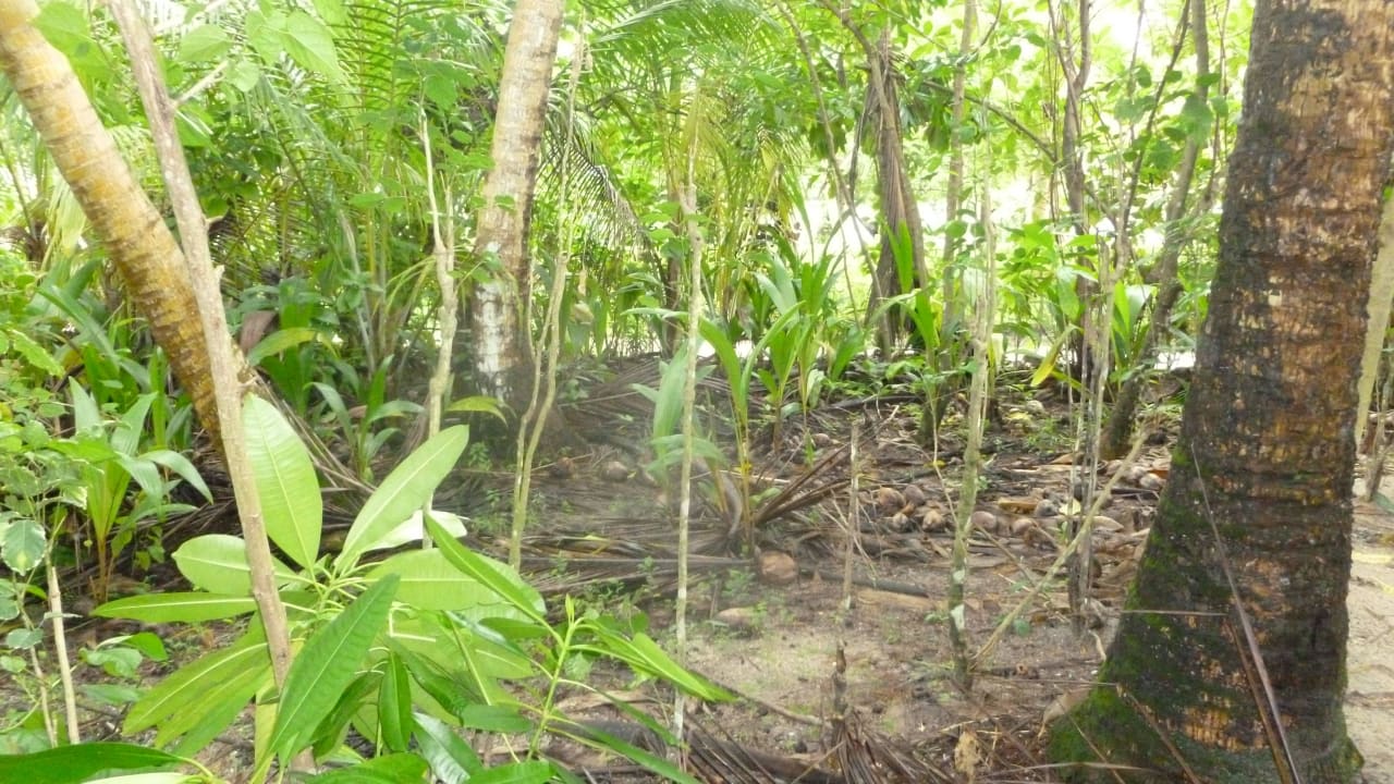 Nicht aufgeräumt Filitheyo Island Resort